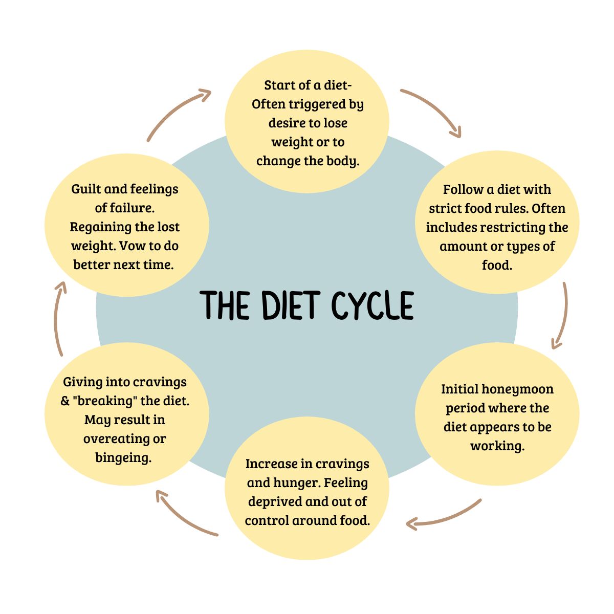 What is the Diet Cycle? - Nutrition IQ